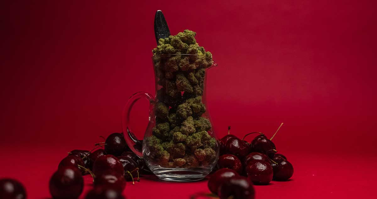 Cherry Punch Strain Effects Potency And Terpene Profile MÜv