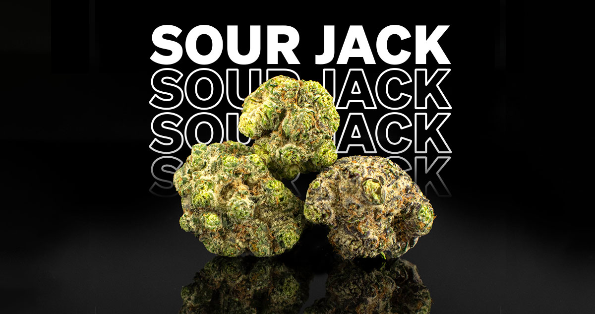 Sour Jack Strain Information, Pictures, and Reviews