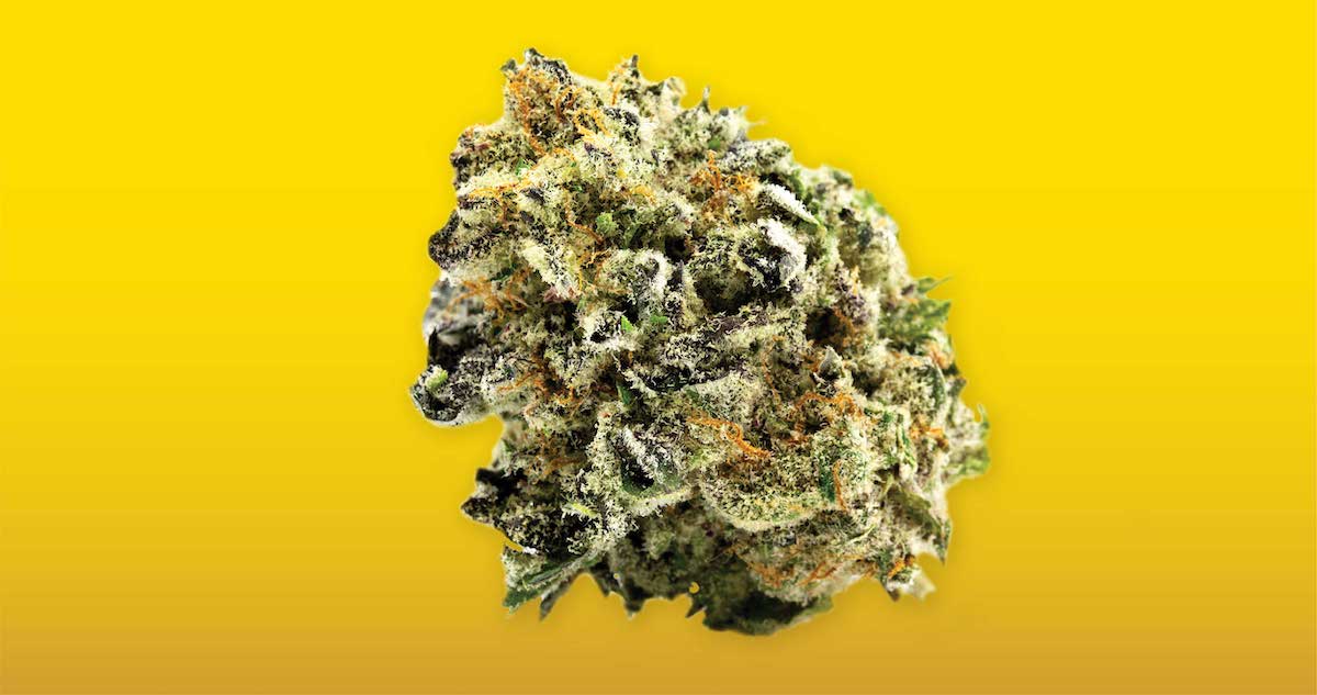 Yellow Weed Strains