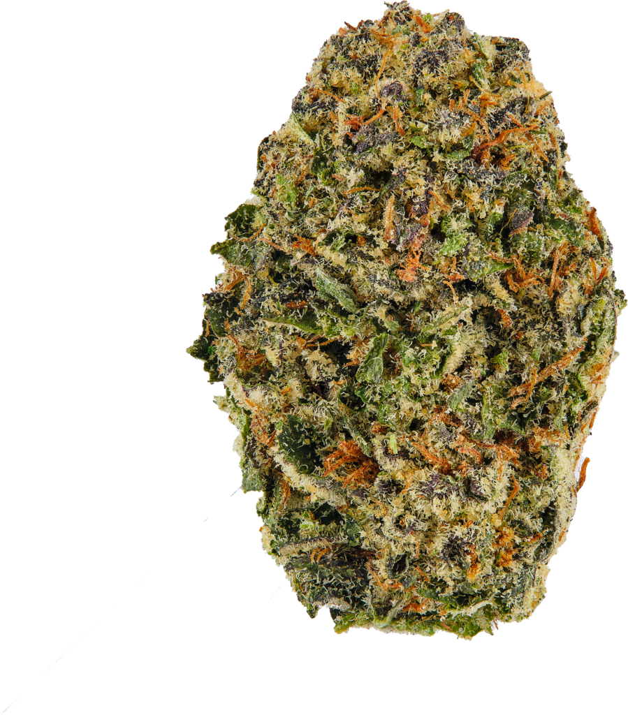 Nug Isolated Blueberry Muffins - MÜV Florida