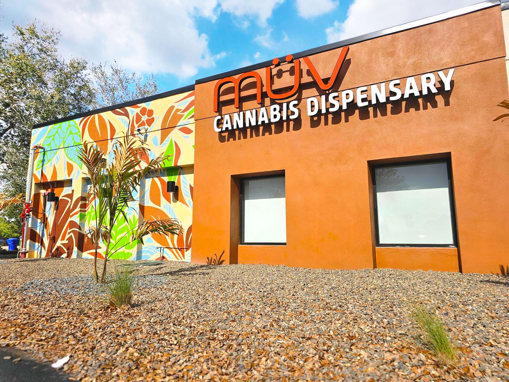 how much is elf bar vape New Edie Parker vapes and carts : r/PaMedicalMarijuana main image 1